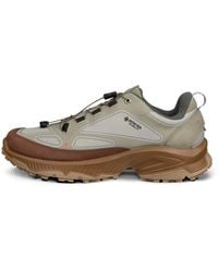 Ecco - Receptor Xp - Lyst