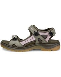 Ecco - Offroad - Lyst