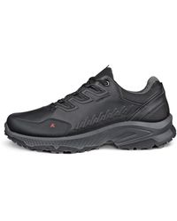 Ecco - Receptor Xp - Lyst