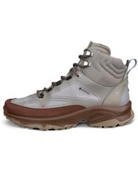 Ecco - Receptor Xp - Lyst