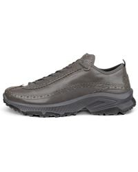 Ecco - Cg Receptor Xp - Lyst