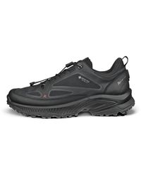 Ecco - Receptor Xp - Lyst
