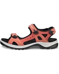 Ecco - Offroad - Lyst