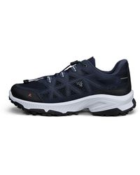 Ecco - Receptor Xp - Lyst
