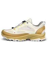Ecco - Receptor Xp - Lyst