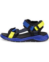 Ecco - X-Trinsic - Lyst