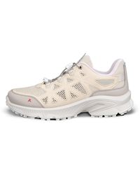 Ecco - Receptor Xp - Lyst