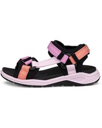 Ecco - X-Trinsic - Lyst