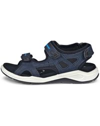 Ecco - X-Trinsic - Lyst