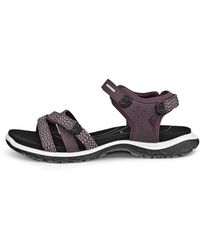Ecco - Offroad Roam - Lyst
