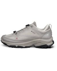 Ecco - Receptor Xp - Lyst