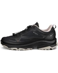Ecco - Receptor Xp - Lyst