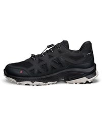 Ecco - Receptor Xp - Lyst