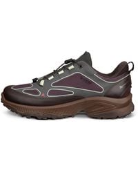 Ecco - Receptor Xp - Lyst