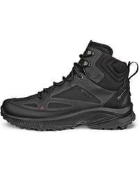 Ecco - Receptor Xp - Lyst