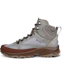 Ecco - Receptor Xp - Lyst