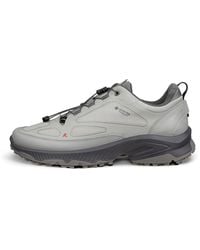 Ecco - Receptor Xp - Lyst