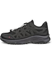 Ecco - Receptor Xp - Lyst