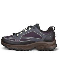 Ecco - Receptor Xp - Lyst