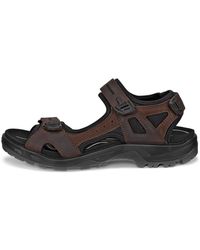 Ecco - Offroad - Lyst