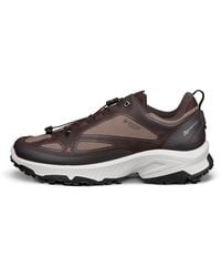 Ecco - Receptor Xp - Lyst