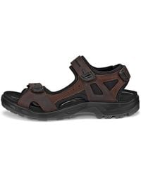 Ecco - Offroad - Lyst