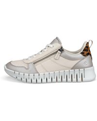 Ecco - Gruuv - Lyst