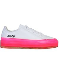 msgm trainers