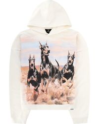 Represent - Sweatshirt Western Dobermans Cotton Sweatshirts - Lyst