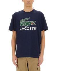 Lacoste - Cotton T-Shirt With Print - Lyst