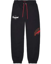 Sprayground - Pants "Takeover The Throne" - Lyst