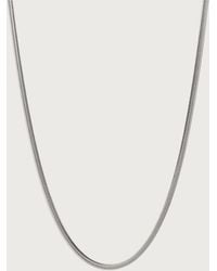 Missoma - Classic Snake Chain Necklace - Lyst
