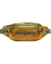Patagonia - Hole Waist Pack Pufferfish - Lyst