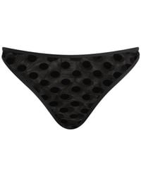Fruity Booty - Flock Polka Brief - Lyst