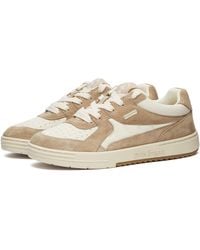 Palm Angels - University Low Top Auth Suede Sneakers - Lyst