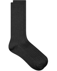 Lady White Co. - Lwc Sock - Lyst