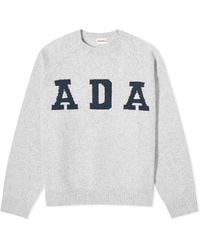 ADANOLA - Ada Oversize Knit Sweater - Lyst