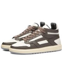 represent reptor low brown