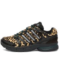 adidas - Adistar Control 5 W Sneaker - Lyst
