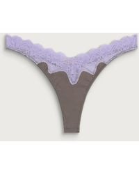 Fruity Booty - Lacie Thong - Lyst