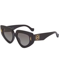 Loewe - Oversized Cat Eye Sunglasses - Lyst