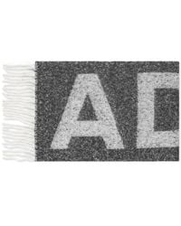 ADANOLA - Knit Scarf - Lyst