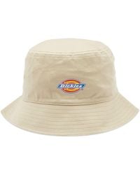 Dickies - Stayton Bucket Hat - Lyst