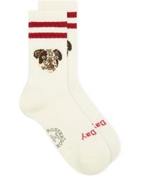 Rostersox - Dog Socks - Lyst