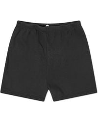 Joah Brown Fitted Sweat Shorts - Black