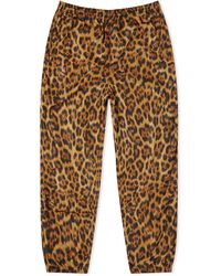 alexander wang stacked pant
