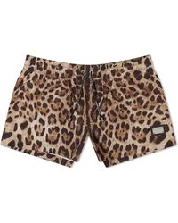Dolce & Gabbana - Leopard Print Swim Shorts - Lyst