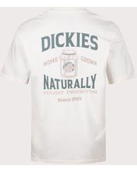 Dickies - Elliston T-shirt - Lyst