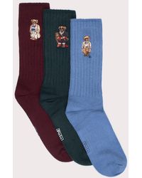 Polo Ralph Lauren - 3 Pack Of Polo Bear Crew Socks With Gift Box - Lyst