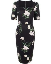 aivilo ted baker